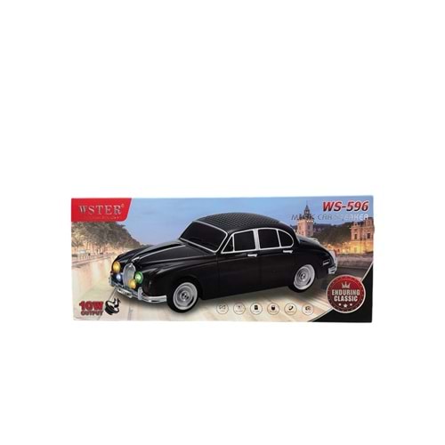 MÜZİK KUTUSU CAR (WS-596)