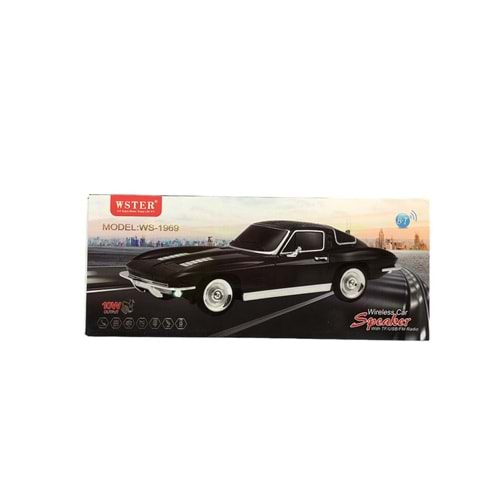 MÜZİK KUTUSU CAR (WS-1969)